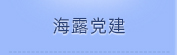 南宫电竞党建