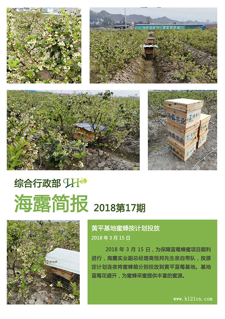 南宫电竞-不凡成就非凡,相信品牌的力量