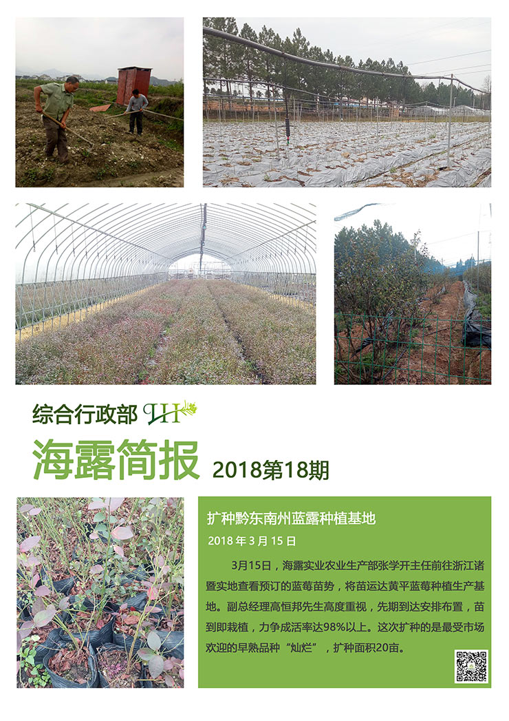 南宫电竞-不凡成就非凡,相信品牌的力量