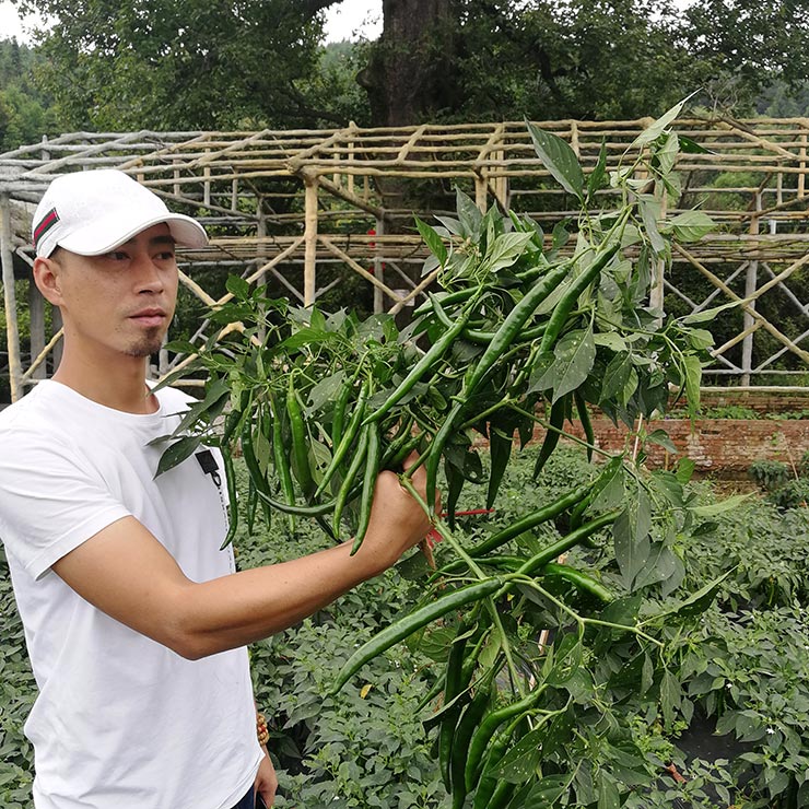 南宫电竞-不凡成就非凡,相信品牌的力量