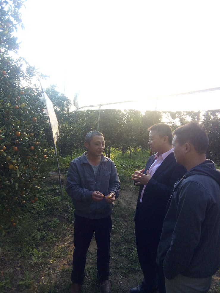 南宫电竞-不凡成就非凡,相信品牌的力量