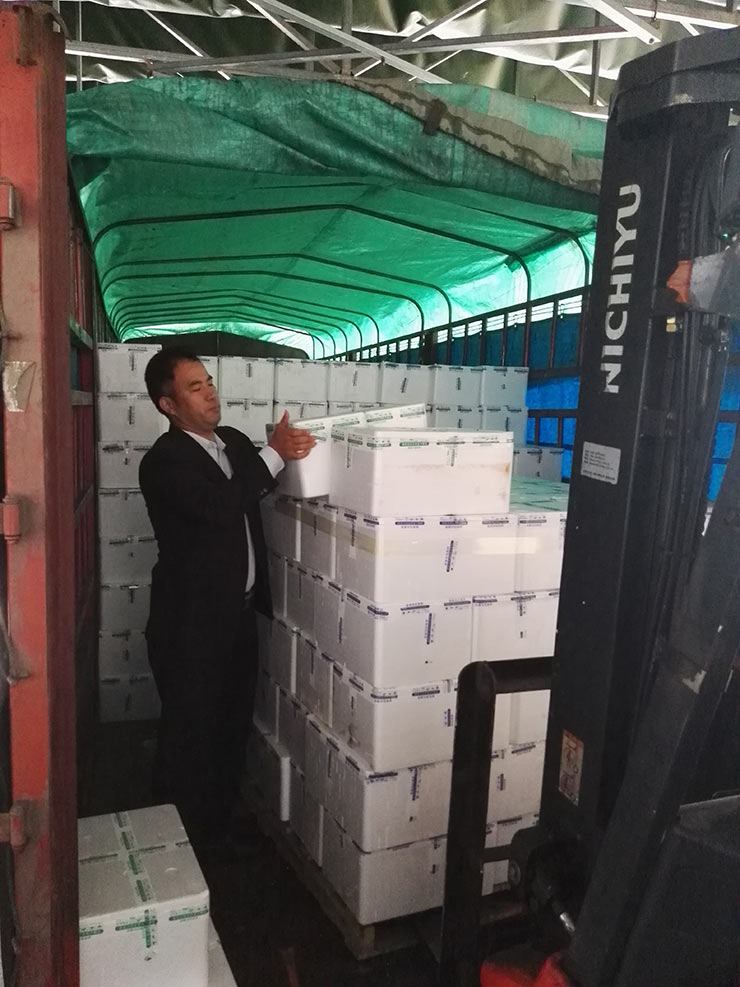 南宫电竞-不凡成就非凡,相信品牌的力量