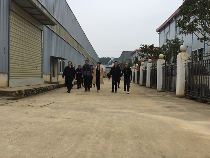 1-1Q21P946415U 南宫电竞-不凡成就非凡,相信品牌的力量