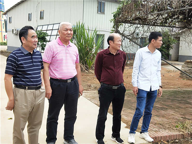 南宫电竞-不凡成就非凡,相信品牌的力量