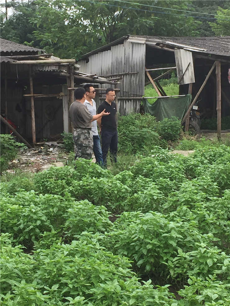 南宫电竞-不凡成就非凡,相信品牌的力量