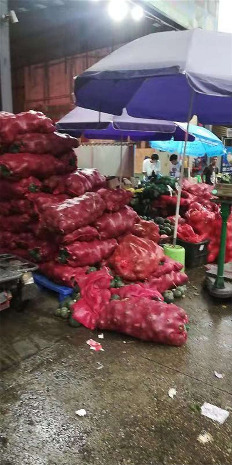 南宫电竞-不凡成就非凡,相信品牌的力量