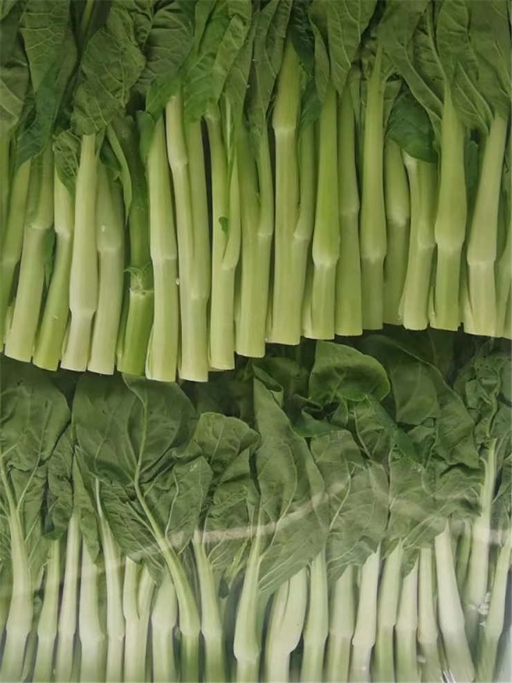 南宫电竞-不凡成就非凡,相信品牌的力量