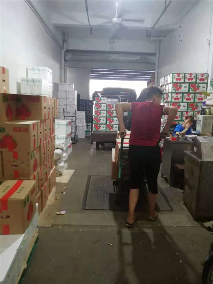 南宫电竞-不凡成就非凡,相信品牌的力量