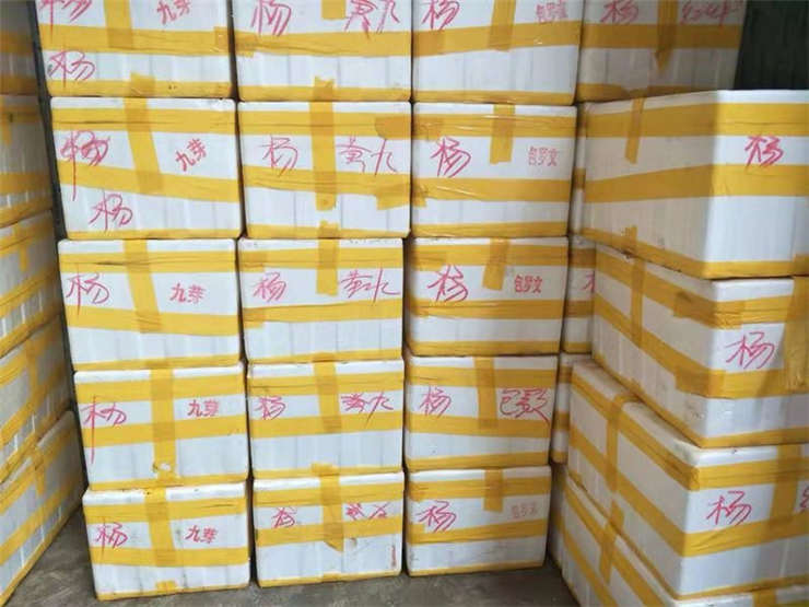南宫电竞-不凡成就非凡,相信品牌的力量