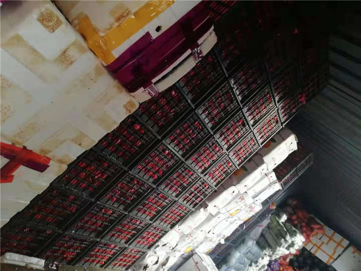 南宫电竞-不凡成就非凡,相信品牌的力量