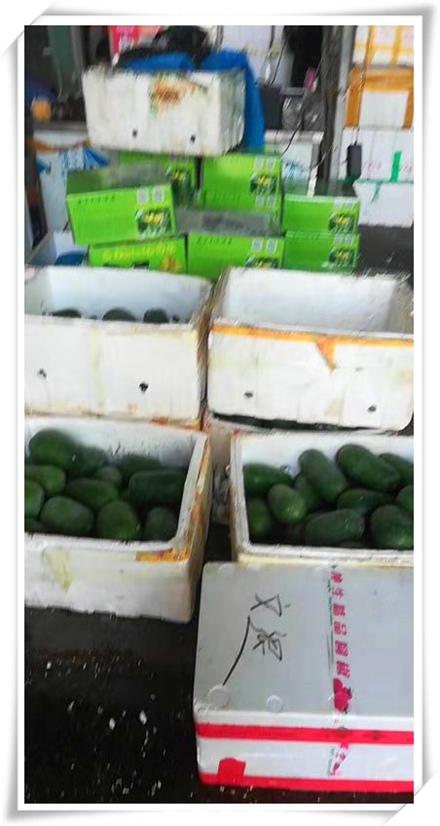南宫电竞-不凡成就非凡,相信品牌的力量
