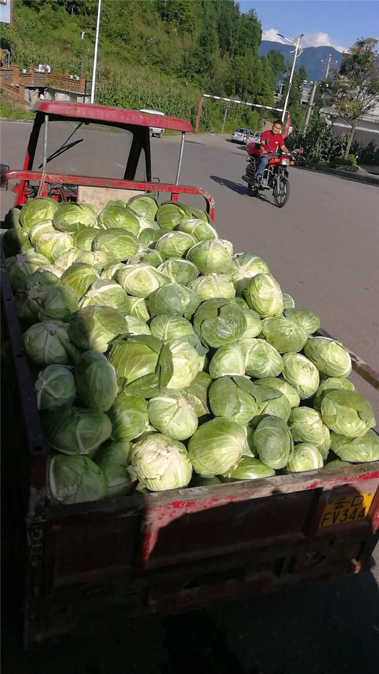 南宫电竞-不凡成就非凡,相信品牌的力量