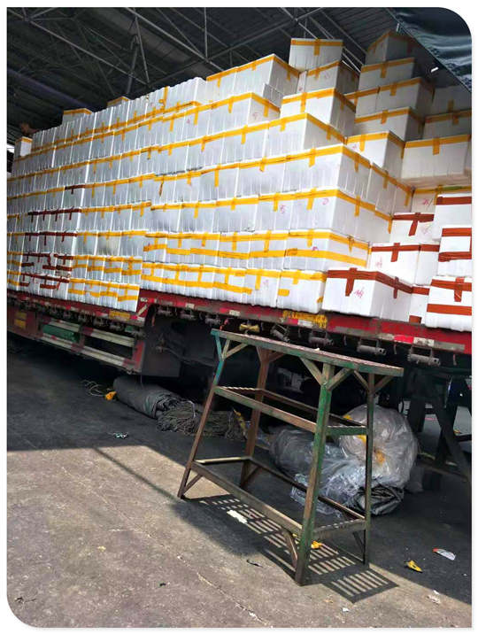 南宫电竞-不凡成就非凡,相信品牌的力量