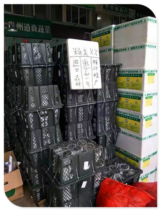南宫电竞-不凡成就非凡,相信品牌的力量