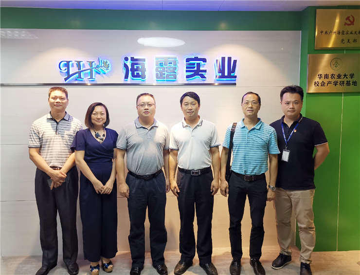 �Ϲ��羺-�����ɾͷǷ�,����Ʒ�Ƶ�����