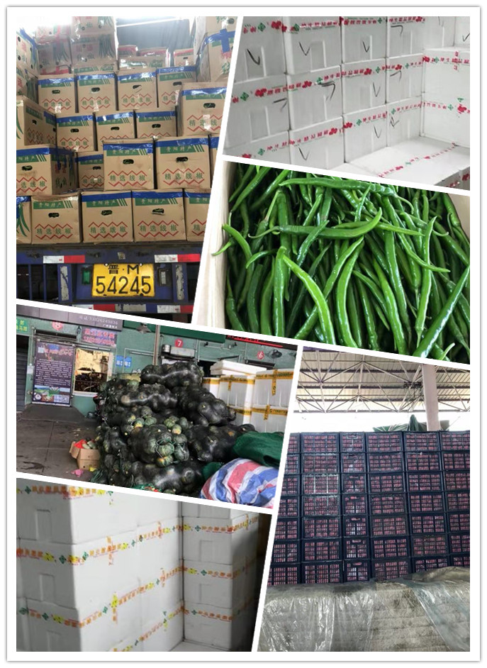 南宫电竞-不凡成就非凡,相信品牌的力量