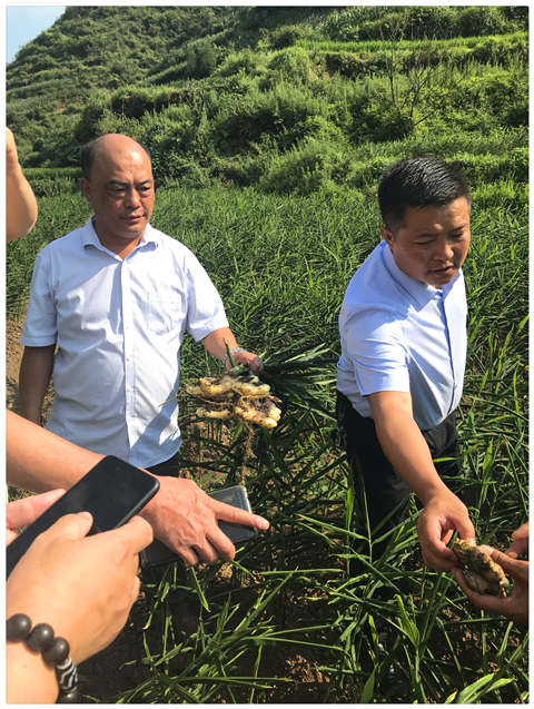 南宫电竞-不凡成就非凡,相信品牌的力量