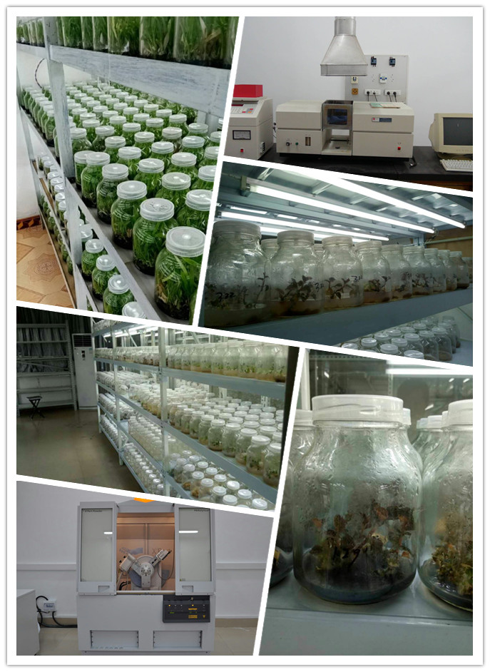 南宫电竞-不凡成就非凡,相信品牌的力量