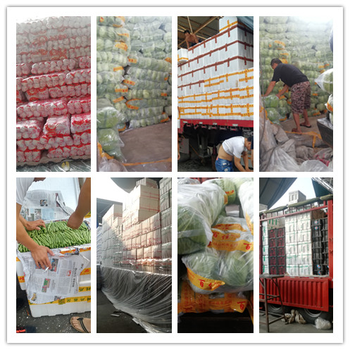 南宫电竞-不凡成就非凡,相信品牌的力量