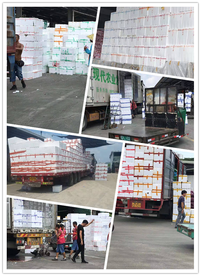 南宫电竞-不凡成就非凡,相信品牌的力量