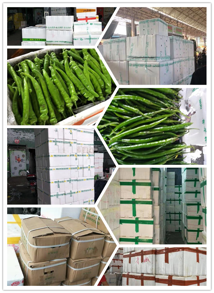 南宫电竞-不凡成就非凡,相信品牌的力量
