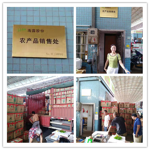 南宫电竞-不凡成就非凡,相信品牌的力量
