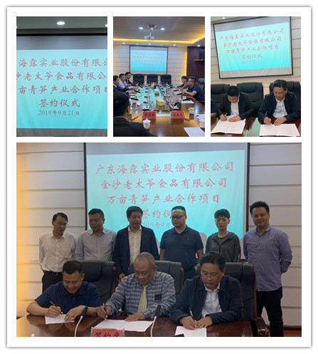 南宫电竞-不凡成就非凡,相信品牌的力量