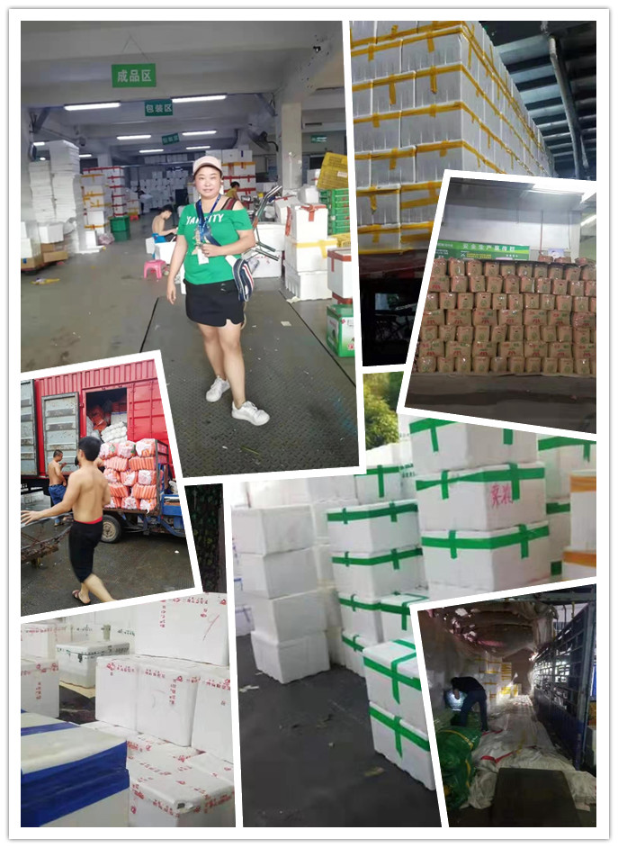 南宫电竞-不凡成就非凡,相信品牌的力量