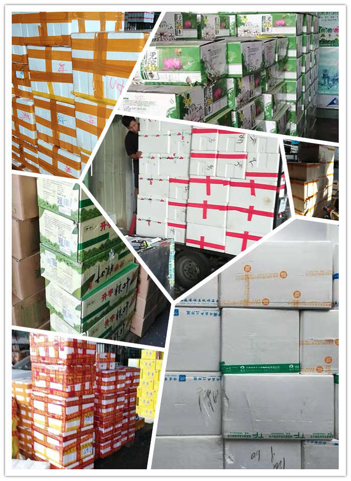 南宫电竞-不凡成就非凡,相信品牌的力量