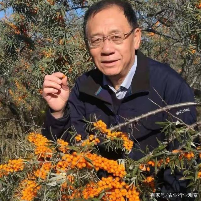南宫电竞-不凡成就非凡,相信品牌的力量