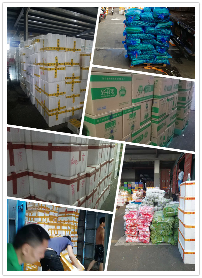 南宫电竞-不凡成就非凡,相信品牌的力量