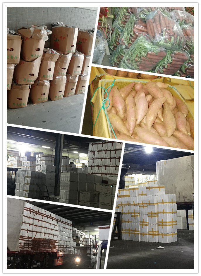 南宫电竞-不凡成就非凡,相信品牌的力量