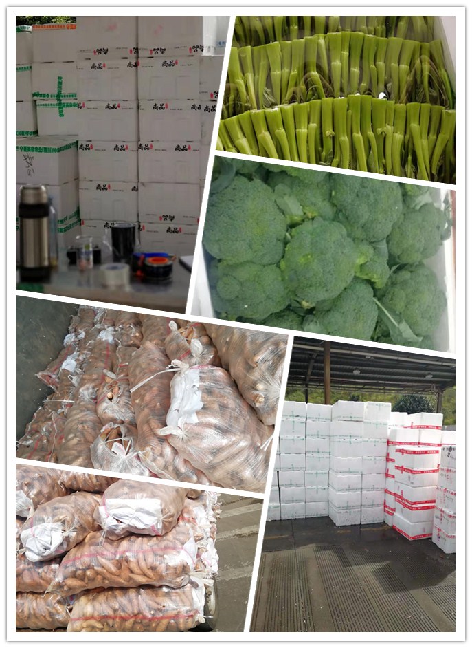 南宫电竞-不凡成就非凡,相信品牌的力量