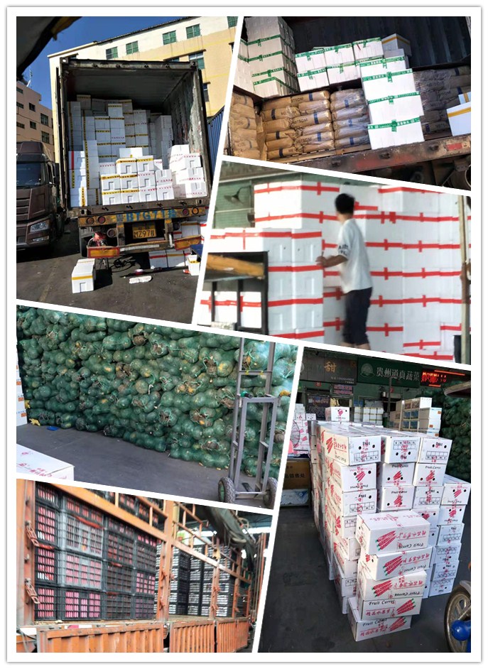 南宫电竞-不凡成就非凡,相信品牌的力量