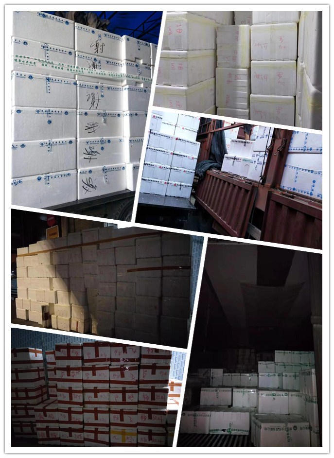 南宫电竞-不凡成就非凡,相信品牌的力量