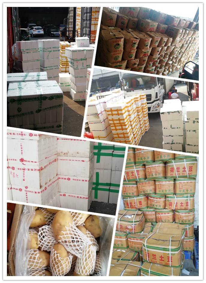 南宫电竞-不凡成就非凡,相信品牌的力量