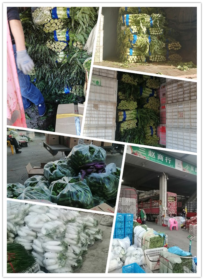 南宫电竞-不凡成就非凡,相信品牌的力量