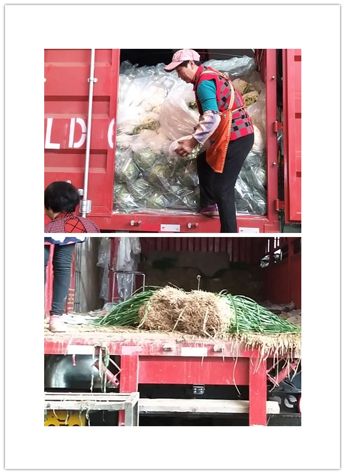 南宫电竞-不凡成就非凡,相信品牌的力量
