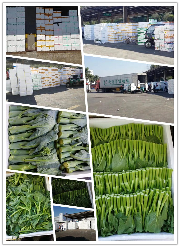 南宫电竞-不凡成就非凡,相信品牌的力量