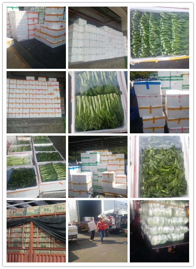 南宫电竞-不凡成就非凡,相信品牌的力量