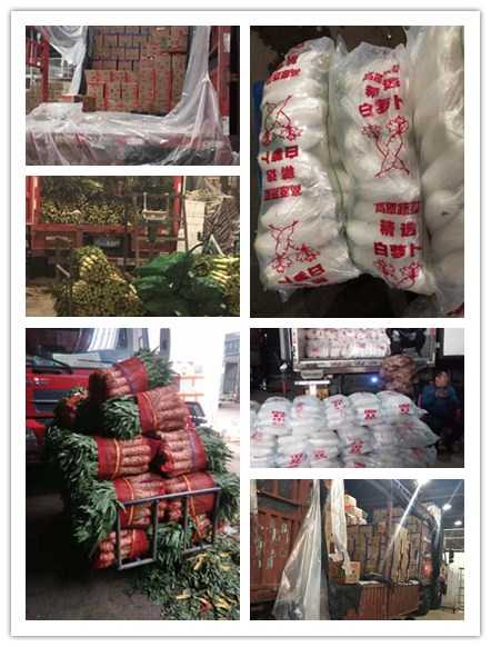 南宫电竞-不凡成就非凡,相信品牌的力量