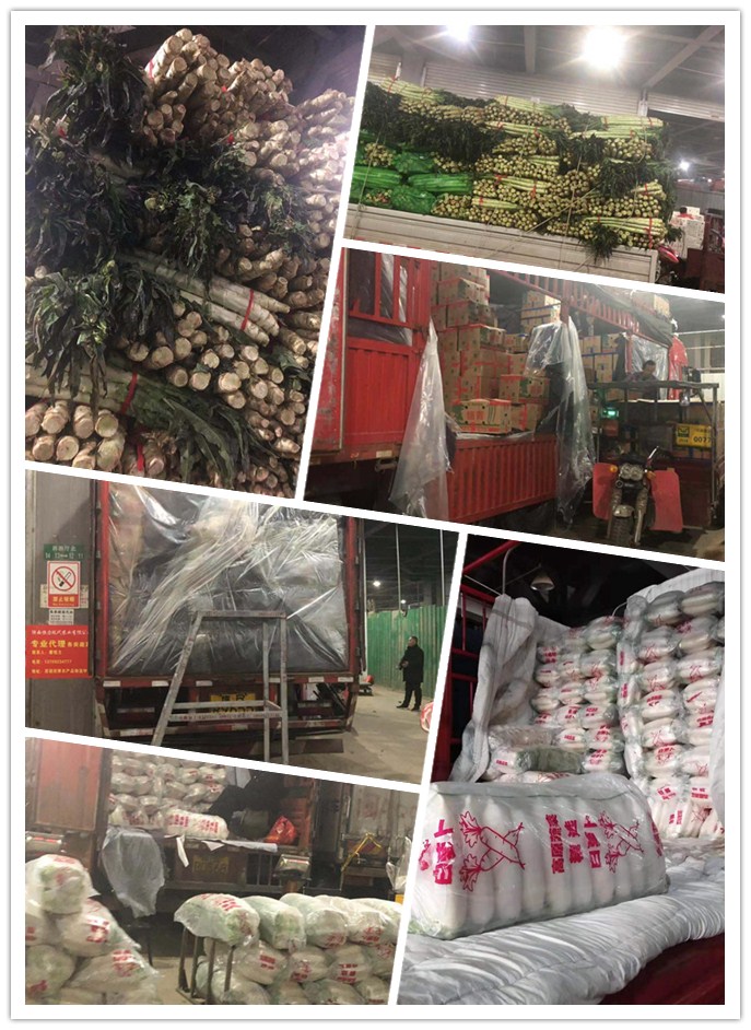 南宫电竞-不凡成就非凡,相信品牌的力量