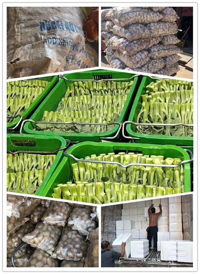 南宫电竞-不凡成就非凡,相信品牌的力量