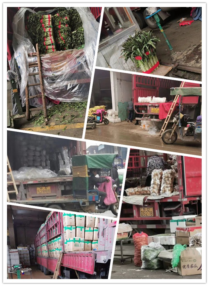 南宫电竞-不凡成就非凡,相信品牌的力量
