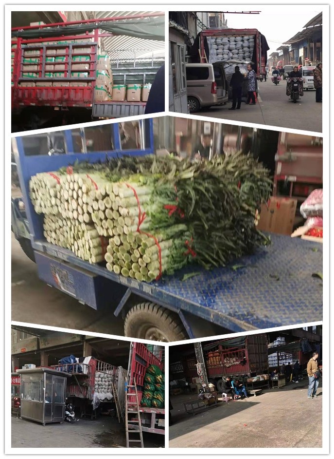 南宫电竞-不凡成就非凡,相信品牌的力量