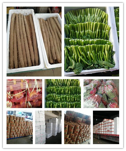 南宫电竞-不凡成就非凡,相信品牌的力量