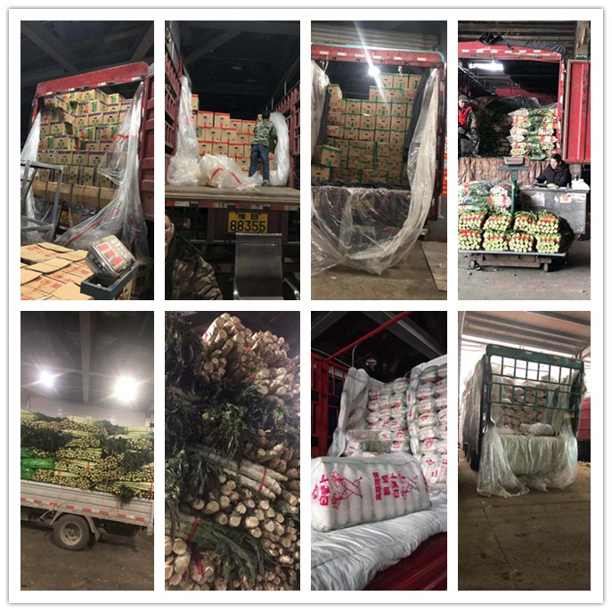 南宫电竞-不凡成就非凡,相信品牌的力量