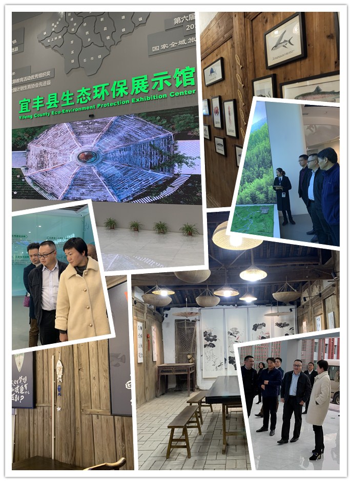 南宫电竞-不凡成就非凡,相信品牌的力量