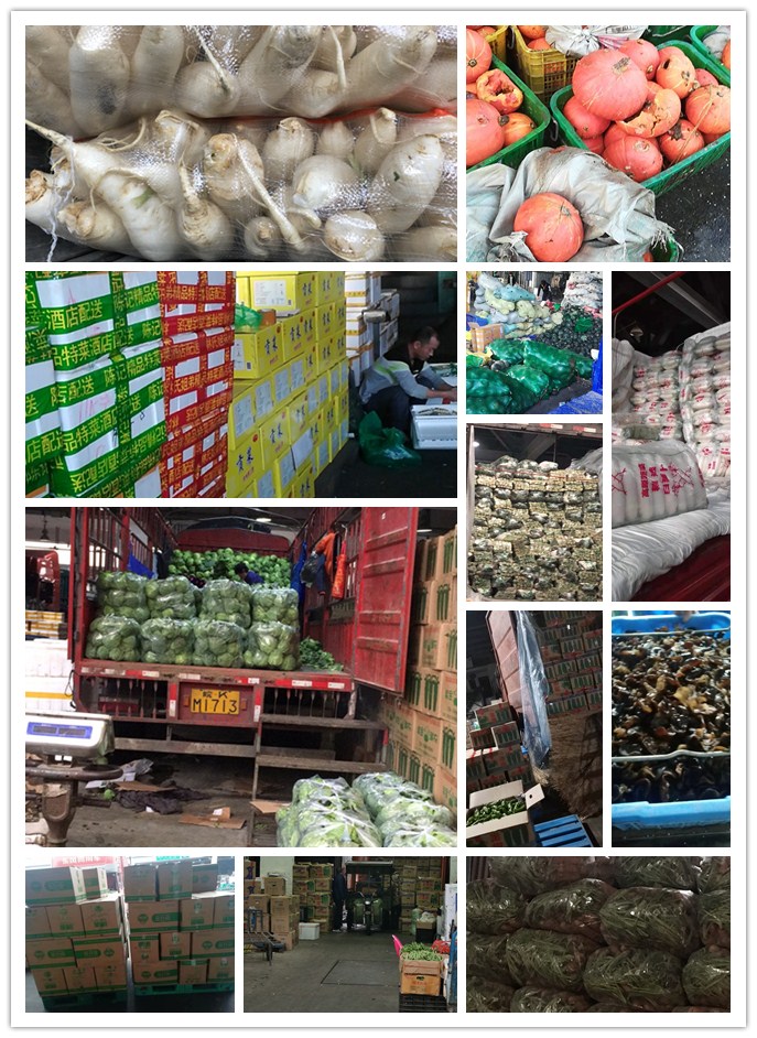 南宫电竞-不凡成就非凡,相信品牌的力量