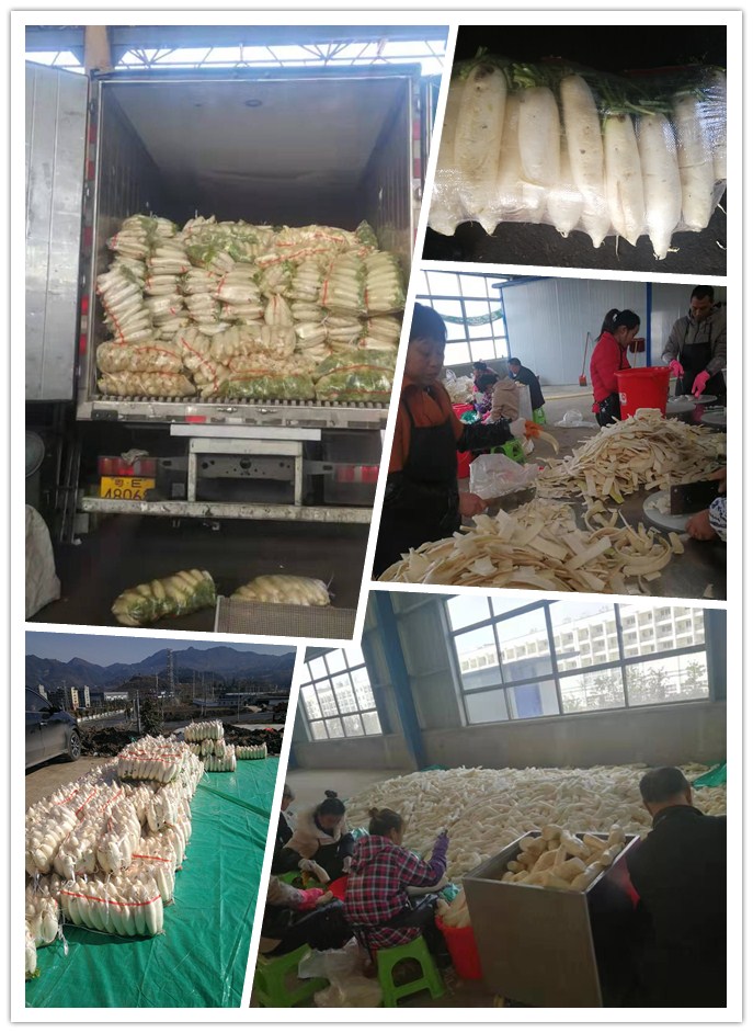南宫电竞-不凡成就非凡,相信品牌的力量